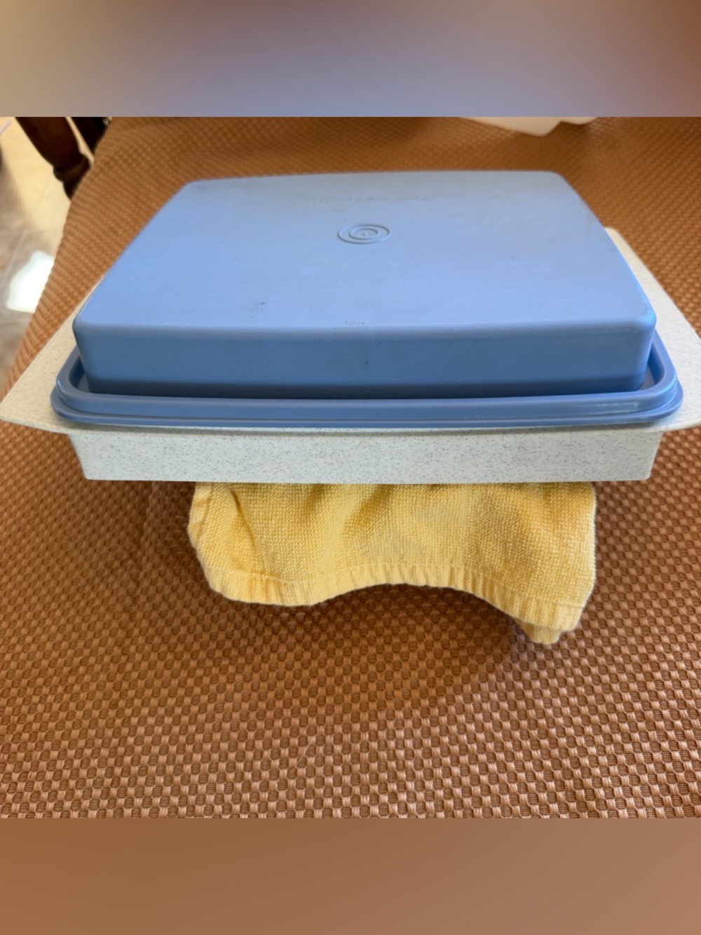 Vintage Tupperware #723-1 Blue Grey Deviled Egg Keeper Carrier